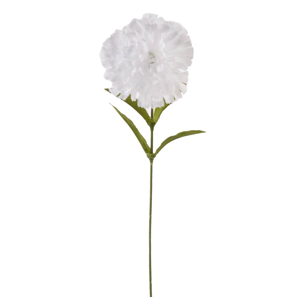 10017878.png img